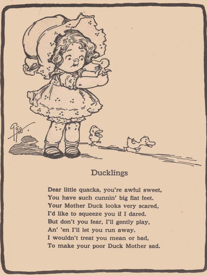 Ducklings Illustrated By Grace G Drayton Fine Art Print