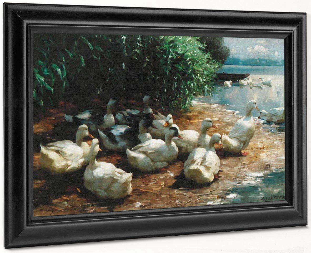 Ducks At Lakeshore By Alexander Koester Fine Art Print
