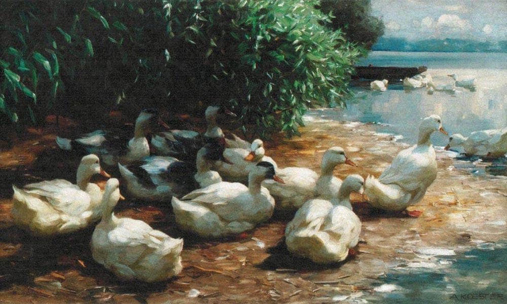Ducks At Lakeshore By Alexander Koester Fine Art Print