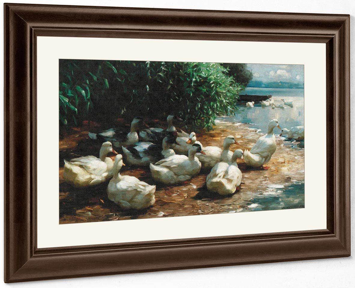 Ducks At Lakeshore By Alexander Koester Fine Art Print