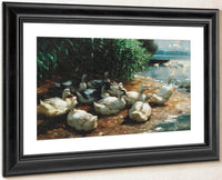 Ducks At Lakeshore By Alexander Koester Fine Art Print