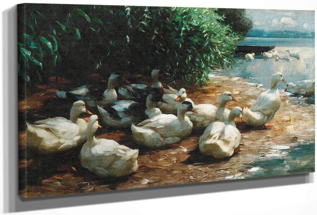 Ducks At Lakeshore By Alexander Koester Fine Art Print