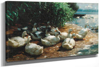 Ducks At Lakeshore By Alexander Koester Fine Art Print