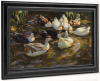 Ducks In The Pond By Alexander Koester Fine Art Print