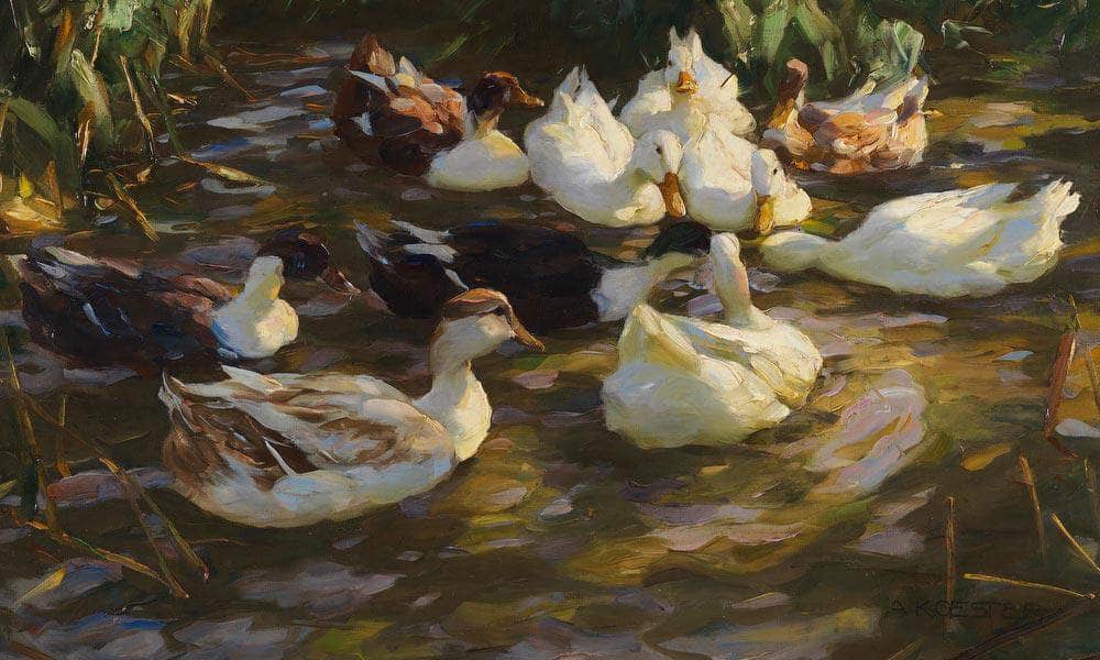 Ducks In The Pond By Alexander Koester Fine Art Print