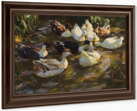 Ducks In The Pond By Alexander Koester Fine Art Print