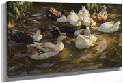Ducks In The Pond By Alexander Koester Fine Art Print