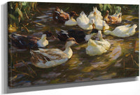 Ducks In The Pond By Alexander Koester Fine Art Print