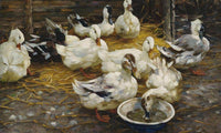 Ducks In The Straw By Alexander Koester Fine Art Print