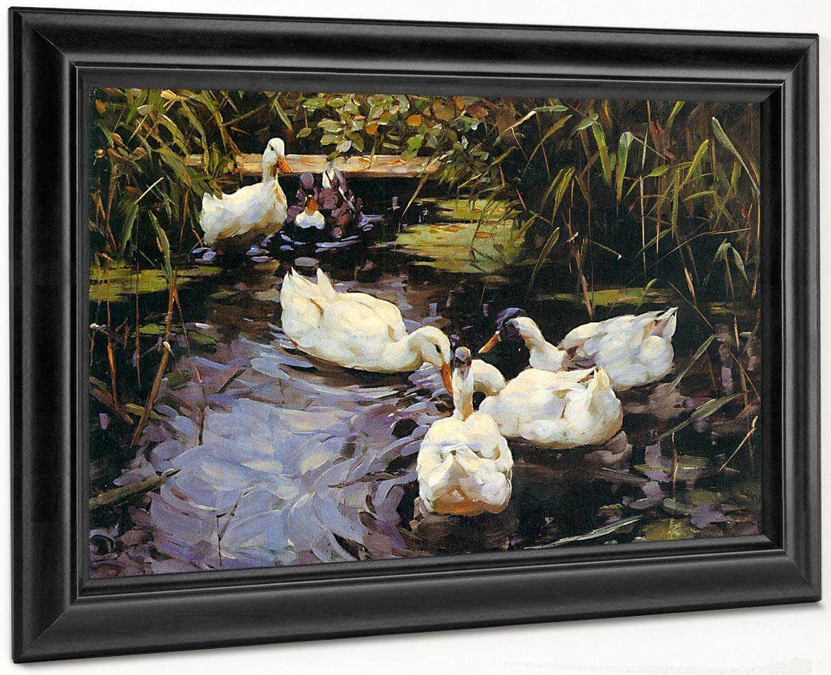 Ducks On A Reed Pond By Alexander Koester Fine Art Print