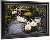 Ducks On A Reed Pond By Alexander Koester Fine Art Print