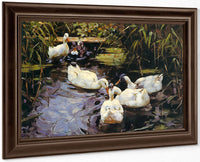 Ducks On A Reed Pond By Alexander Koester Fine Art Print