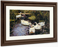 Ducks On A Reed Pond By Alexander Koester Fine Art Print