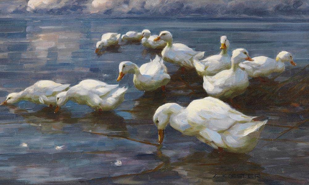 Ducks On The Lake Shore By Alexander Koester Fine Art Print