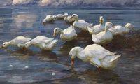 Ducks On The Lake Shore By Alexander Koester Fine Art Print