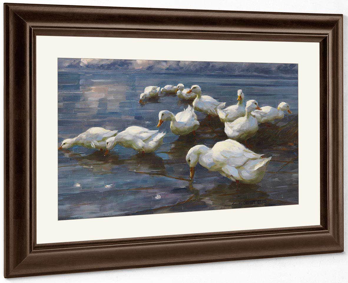 Ducks On The Lake Shore By Alexander Koester Fine Art Print