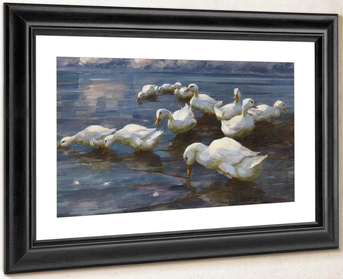 Ducks On The Lake Shore By Alexander Koester Fine Art Print
