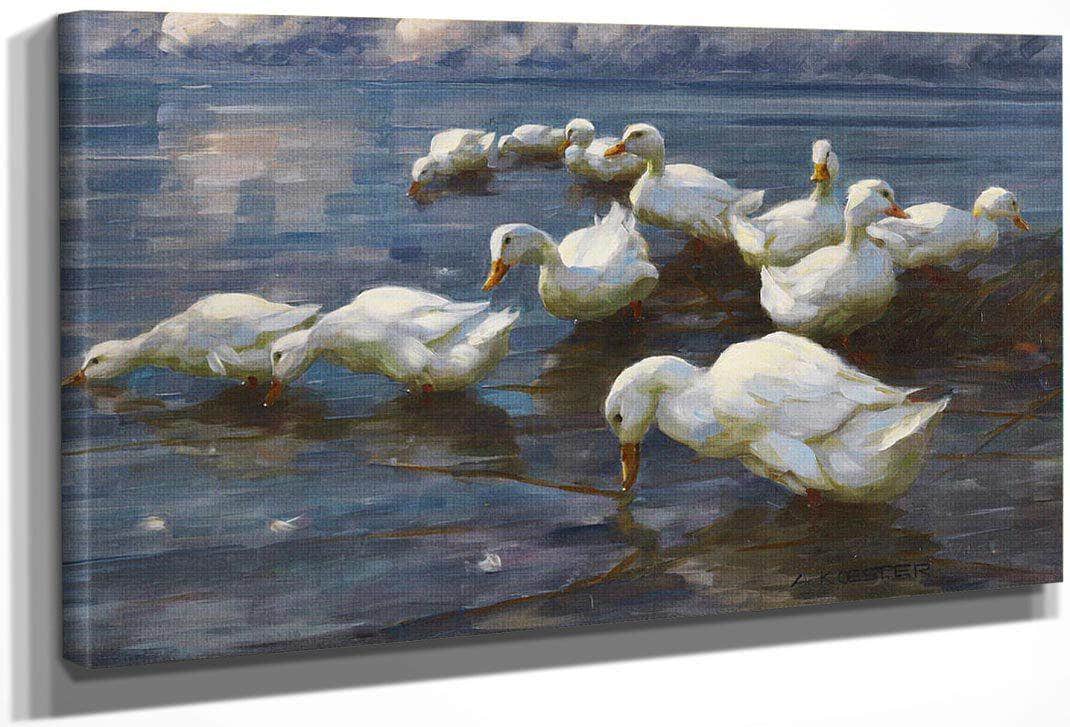 Ducks On The Lake Shore By Alexander Koester Fine Art Print