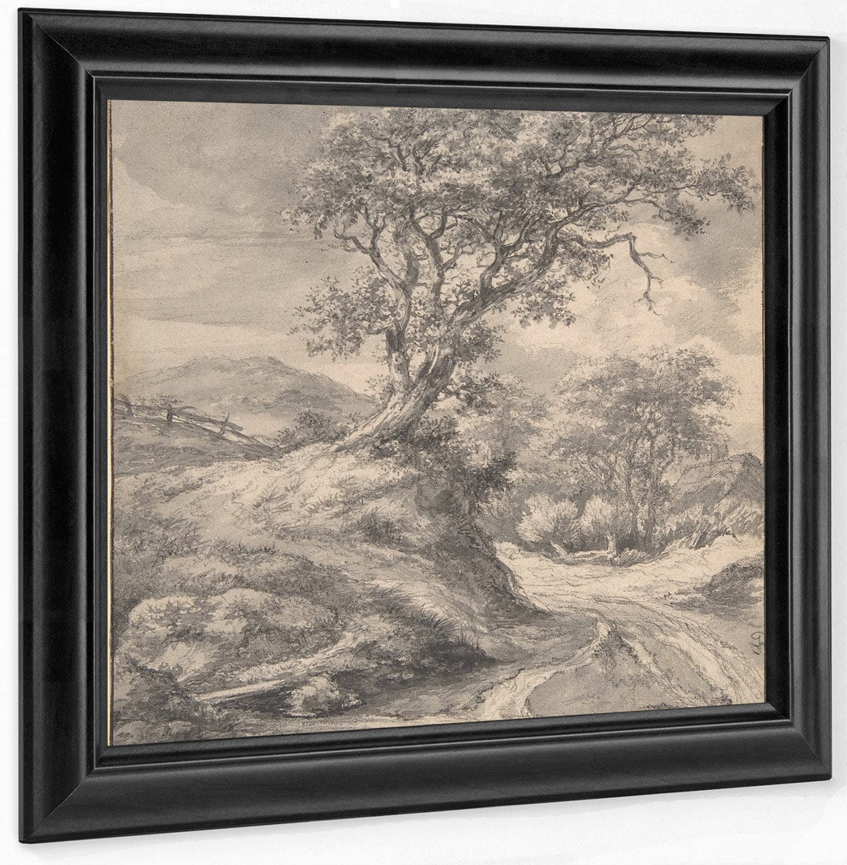 Dune Landscape With Oak Tree By Jacob Van Rusdael Fine Art Print