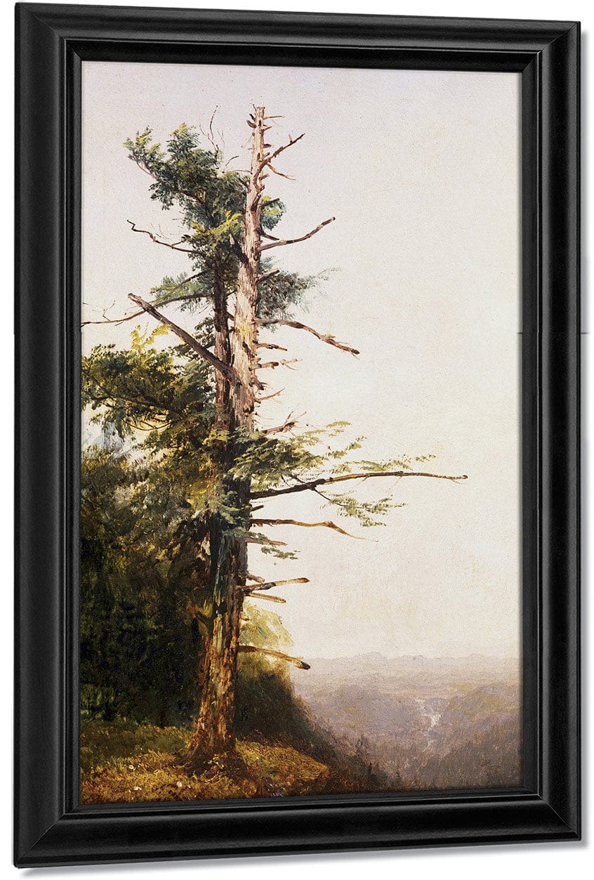 Dying Tree On Mountaintop By John Frederick Kensett Fine Art Print