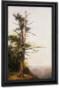 Dying Tree On Mountaintop By John Frederick Kensett Fine Art Print