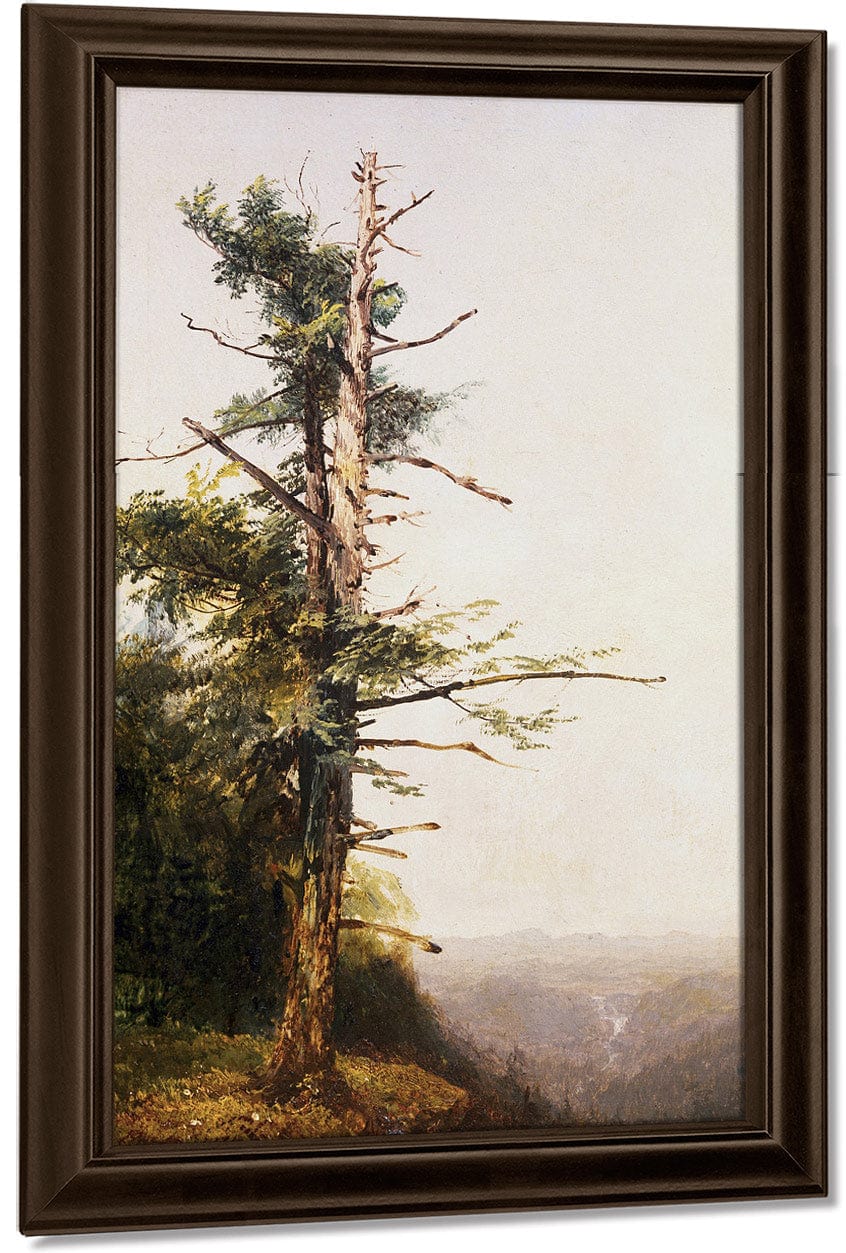 Dying Tree On Mountaintop By John Frederick Kensett Fine Art Print