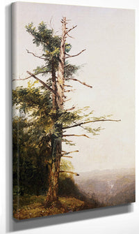 Dying Tree On Mountaintop By John Frederick Kensett Fine Art Print