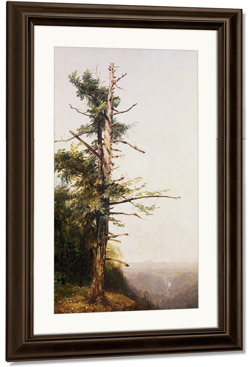 Dying Tree On Mountaintop By John Frederick Kensett Fine Art Print