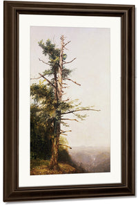 Dying Tree On Mountaintop By John Frederick Kensett Fine Art Print