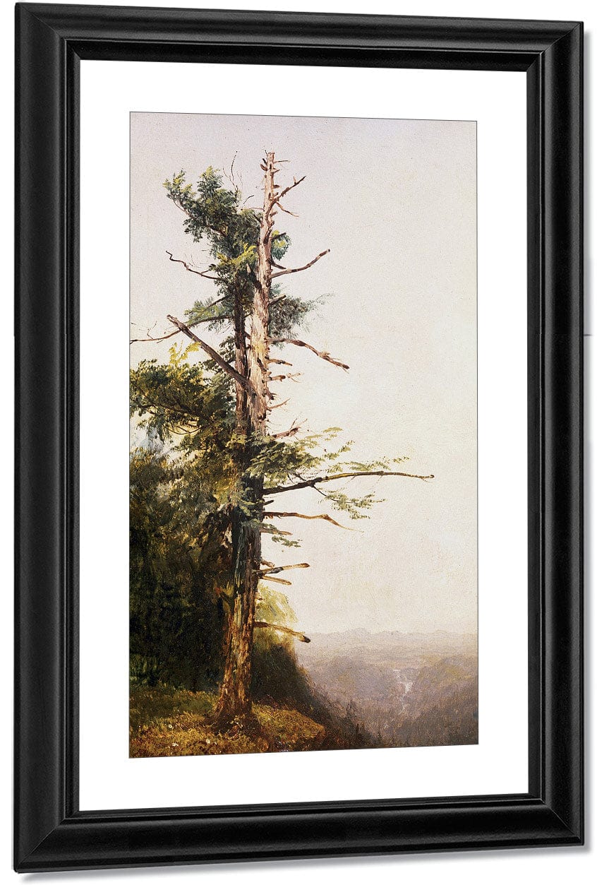 Dying Tree On Mountaintop By John Frederick Kensett Fine Art Print