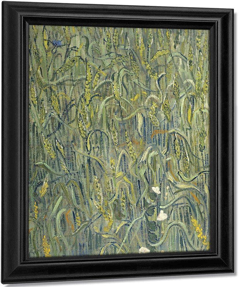 Ears Of Wheat By Vincent Van Gogh Fine Art Print