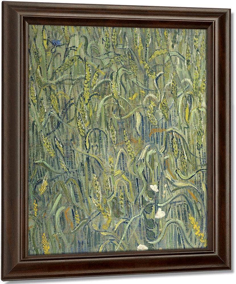 Ears Of Wheat By Vincent Van Gogh Fine Art Print