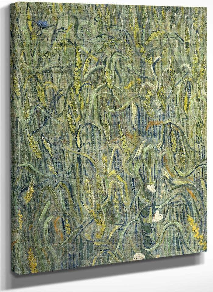 Ears Of Wheat By Vincent Van Gogh Fine Art Print