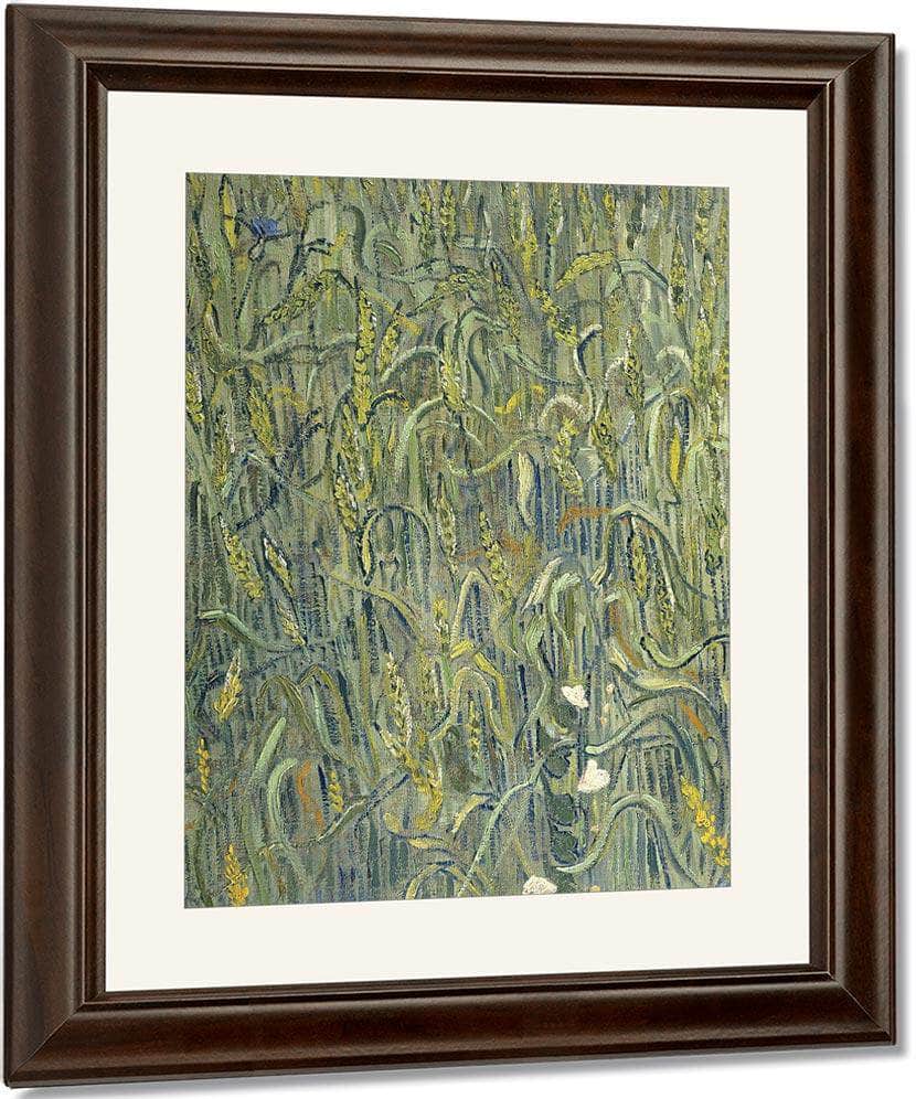 Ears Of Wheat By Vincent Van Gogh Fine Art Print