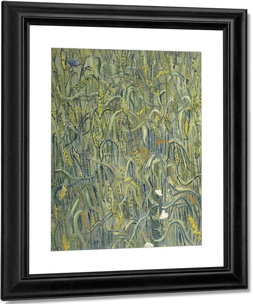 Ears Of Wheat By Vincent Van Gogh Fine Art Print