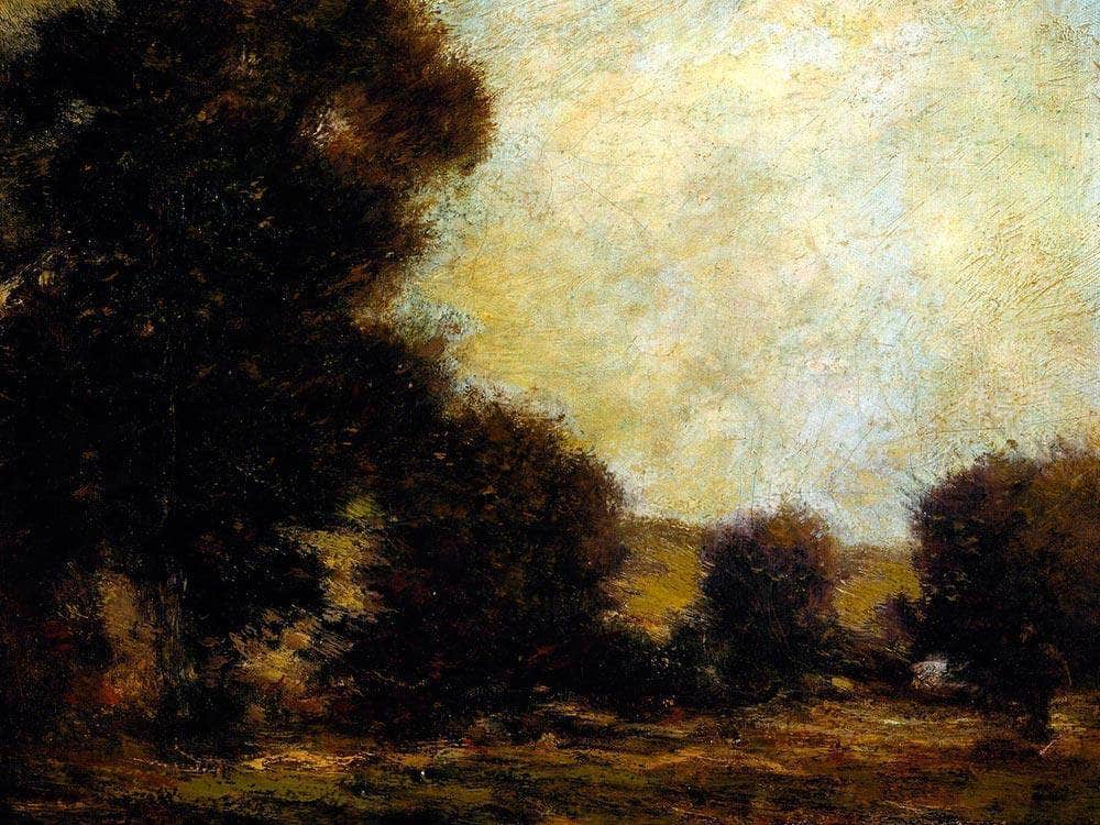 Effect Of Trees By Martin Homer Dodge Fine Art Print