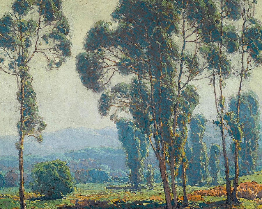 Eucalyptus By Edgar Payne Fine Art Print