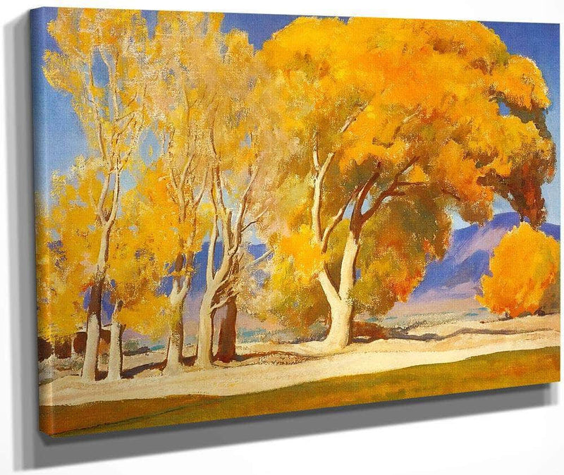 Fall Cottonwoods By Maynard Dixon Fine Art Print