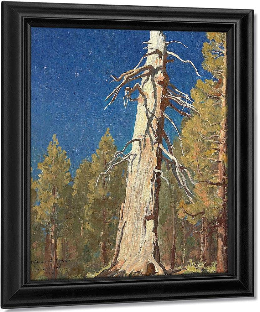 Fallen Leaf 1933 By Maynard Dixon Fine Art Print