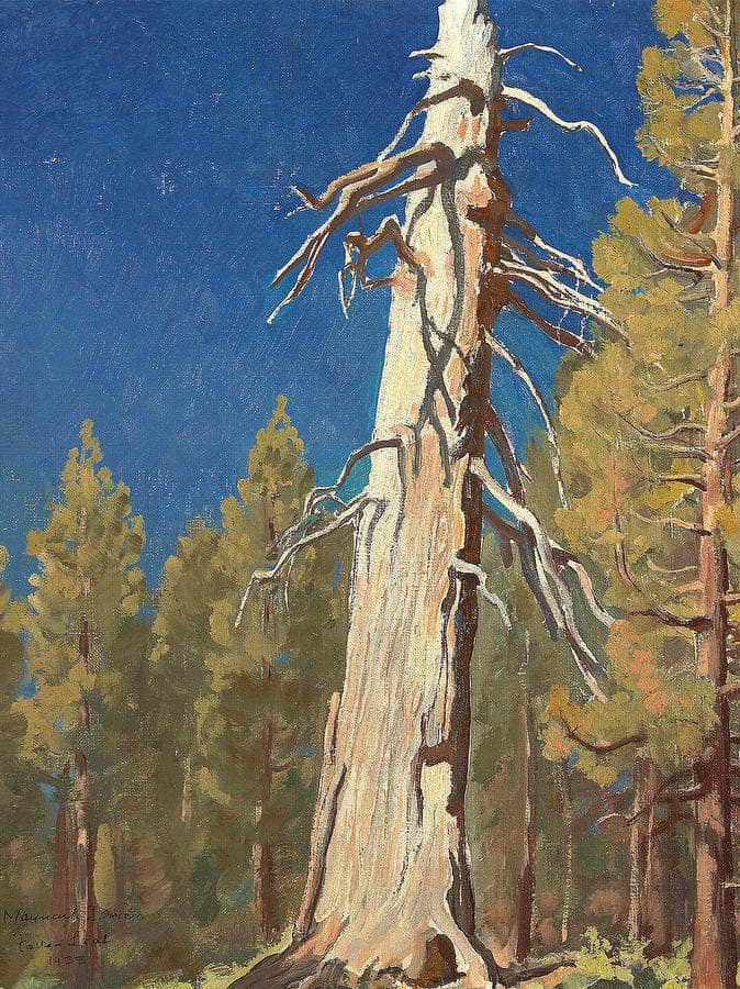 Fallen Leaf 1933 By Maynard Dixon Fine Art Print