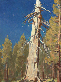 Fallen Leaf 1933 By Maynard Dixon Fine Art Print