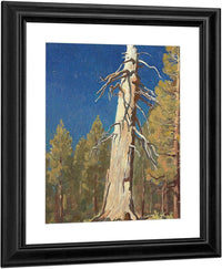 Fallen Leaf 1933 By Maynard Dixon Fine Art Print