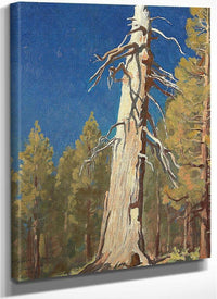 Fallen Leaf 1933 By Maynard Dixon Fine Art Print