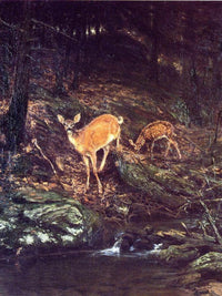 Fauna By Henry Ossawa Tanner Fine Art Print