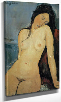 Female Nude 1916 By Amedeo Modigliani Fine Art Print