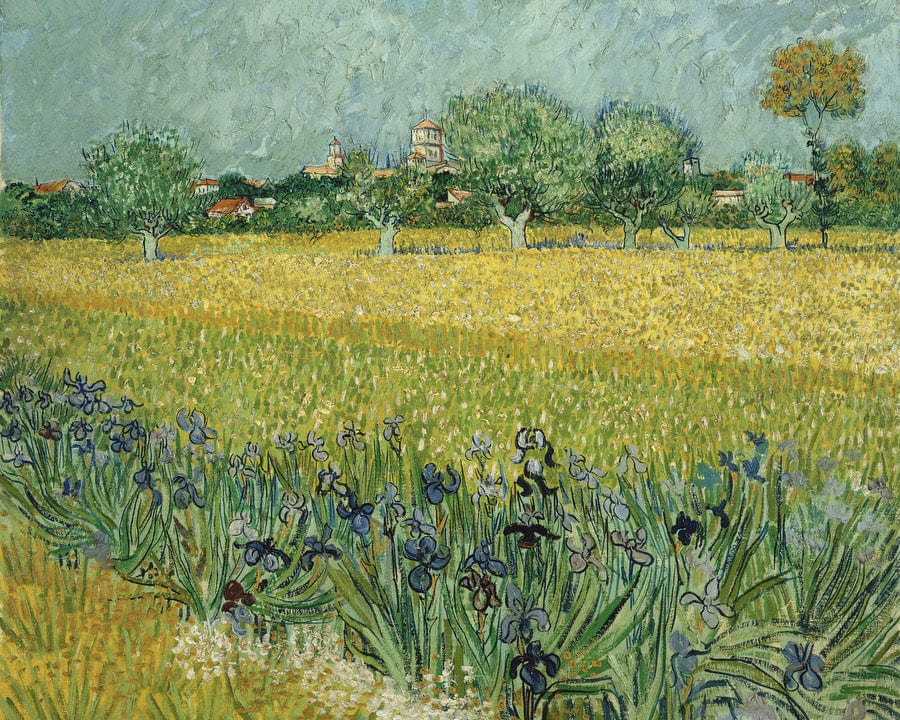 Field With Flowers Near Arles By Vincent Van Gogh Fine Art Print