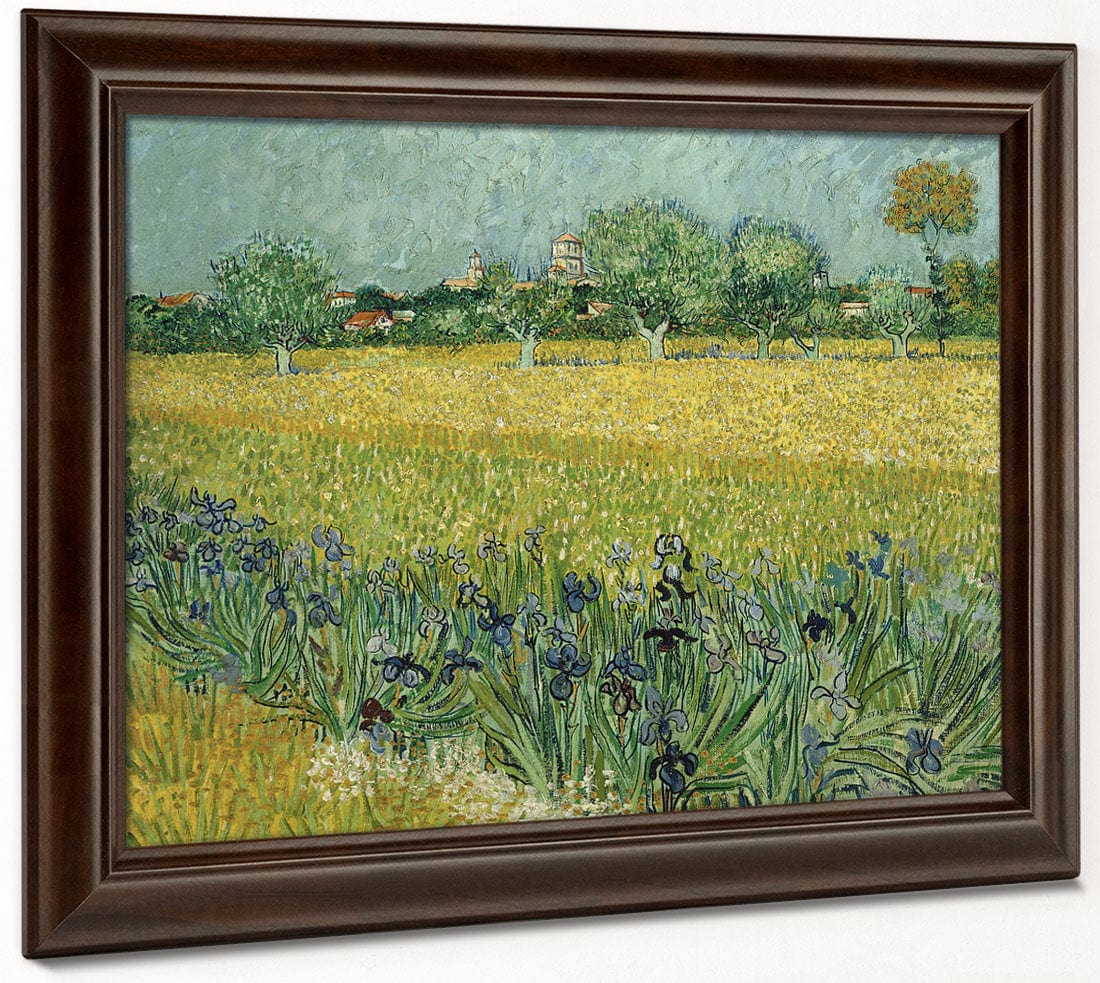 Field With Flowers Near Arles By Vincent Van Gogh Fine Art Print
