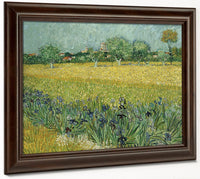 Field With Flowers Near Arles By Vincent Van Gogh Fine Art Print