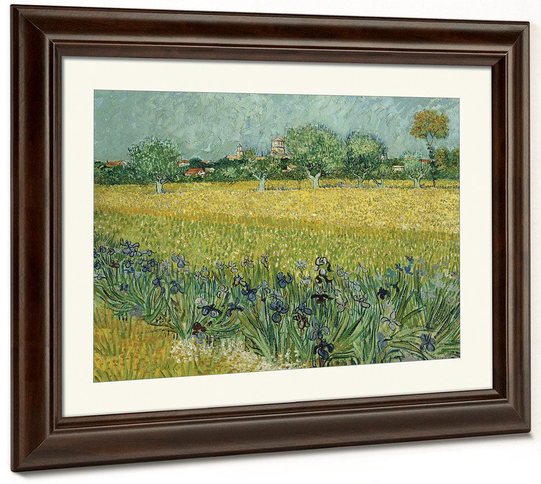 Field With Flowers Near Arles By Vincent Van Gogh Fine Art Print