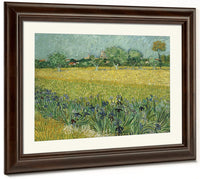 Field With Flowers Near Arles By Vincent Van Gogh Fine Art Print